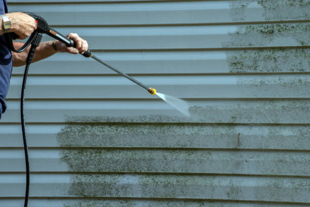Best Window and Screen Pressure Cleaning in Maben, MS